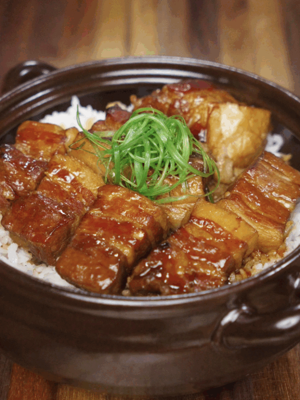 A bowl of soy-glazed braised pork belly is served over hot white rice and topped with fresh scallions.
