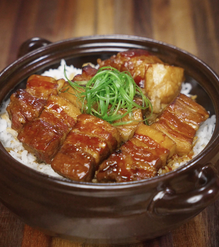 A bowl of soy-glazed braised pork belly is served over hot white rice and topped with fresh scallions.